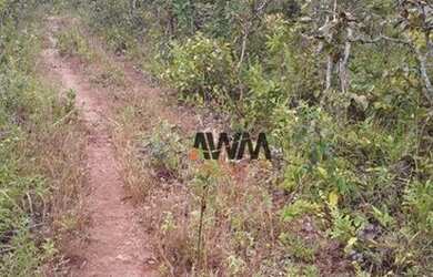 Imagem 4: Fazenda à venda, 242000000 m² por R$ 75.000.000,00 - Zona Rural - Paranã/TO