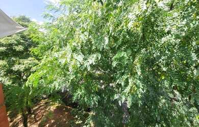 Imagem 11: Apartamento com 2 dormitórios, 56 m² - venda por R$ 135.000,00 ou aluguel...