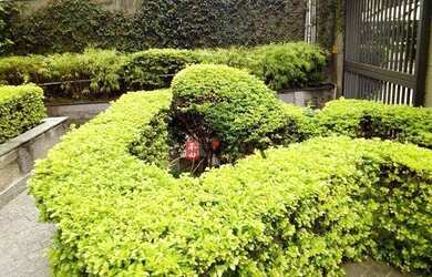 Imagem 15: Sala, 23 m² - venda por R$ 185.000,00 ou aluguel por R$ 1.668,00/mês...