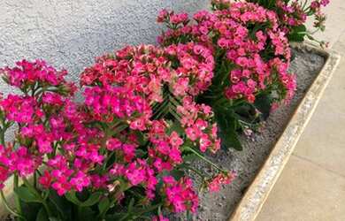 Imagem 8: Espetacular Casa 5Suítes em Vila Esperia Ou Giglio - Atibaia