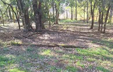 Imagem 13: Terreno em Caxias do Sul - São Virgílio