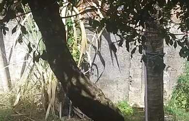 Imagem 8: Casa com Quintal. Varanda, 120m² de Área, 1 Vaga na garageme3 Dormitórios