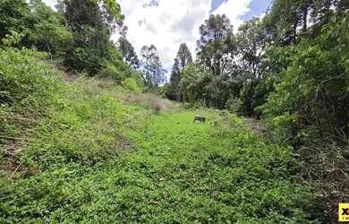 Imagem 8: Sítio / Chácara para Venda em Nova Petrópolis, Stille Eck