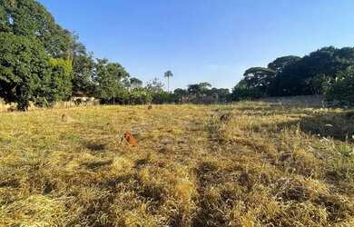 Imagem 12: Chácaras de Recreio São Joaquim - Goiânia - GO 15 mil metros