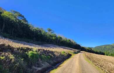 Imagem 6: Sítio / Chácara para Venda em Nova Petrópolis, Pinhal Alto