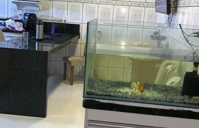 Imagem 6: URGENTE OPORTUNIDADE ÚNICA Linda casa em Arniqueira 3Quartos c/suíte...