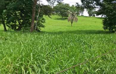 Imagem: A fazenda possui 3m² de Área e está localizado em Abadia
