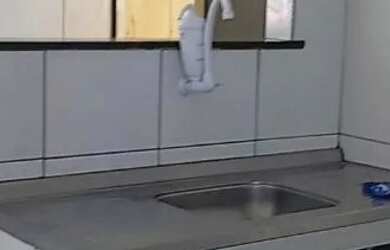 Imagem: O apartamento possui 1 Dormitório, 1 Banheiro e 1 Vaga na garagem