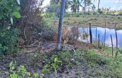 Imagem 6: Terreno Próximo à Praia e Dunas de Areia