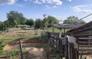 Imagem 11: Vendo fazenda. 135.000m² de Área Privada