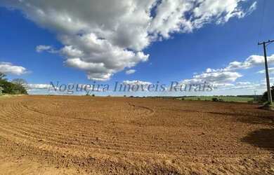 Imagem 6: Fazenda com 40 alqueires, região de Avaré - SP (Nogueira Imóveis Rurais