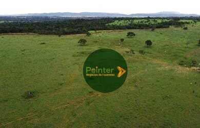 Imagem 6: Fazenda à venda, 1419088 m² por R$ 7.330.000,00 - Zona Rural - Fazenda...