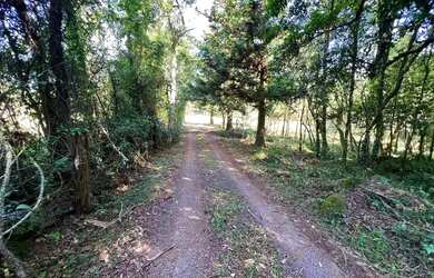 Imagem: A fazenda possui 1.400m² de Área e está localizado em Fazenda