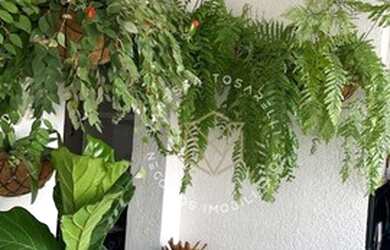 Imagem 14: Apartamento Jardins do Brasil com 2 dormitórios à venda, 67 m² por...