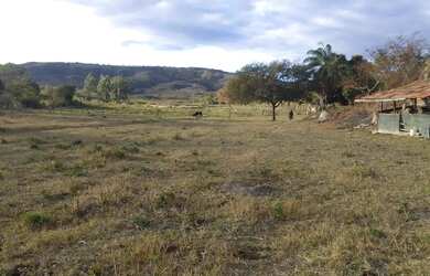 Imagem 5: Fazendinha 84 Hectares, Poço,Casa sede, Plantação Tomate