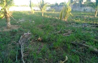 Imagem: O terreno possui 2.000m² de Área e está localizado em Village