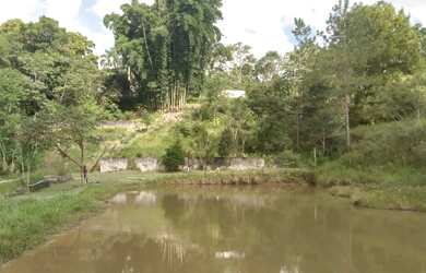 Imagem 13: 1 hectare pisciciultura abandonada 277 mil reais 2 casas