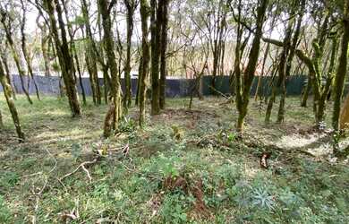 Imagem 7: Terreno em Condomínio - Bairro Pinheiro Grosso