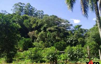 Imagem 6: Sítio / Chácara para Venda em Nova Petrópolis, Linha Temerária