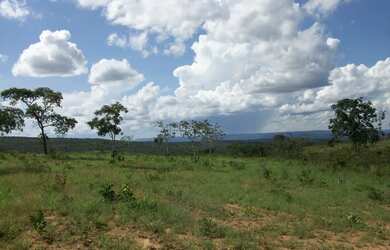 Imagem 10: Fazenda 356,85 ha - Brasilândia de Minas - MG- Estuda Permuta