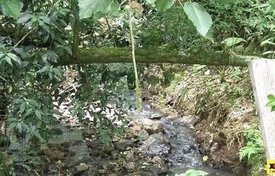 Imagem 13: Sítio / Chácara para Venda em Nova Petrópolis, Stille Eck