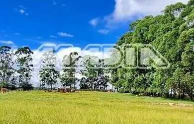 Imagem: O terreno possui 7.007m² de Área e está localizado em Chácaras