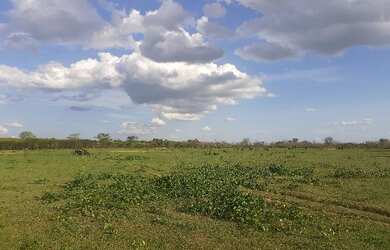 Imagem 14: Vendo fazenda. 135.000m² de Área Privada