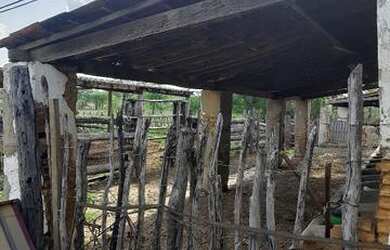 Imagem 7: Vendo fazenda. 135.000m² de Área Privada