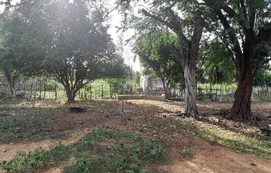 Imagem 10: Vendo fazenda. 135.000m² de Área Privada