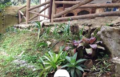 Imagem 8: Apartamento a venda em Conceição de jacarei- Mangaratiba