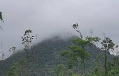 Imagem: A casa possui 5 Dormitórios e 4 Vagas na garagem e está localizado