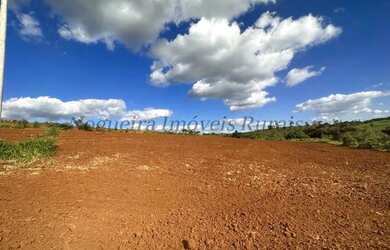 Imagem 5: Fazenda com 40 alqueires, região de Avaré - SP (Nogueira Imóveis Rurais