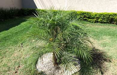 Imagem 5: Espetacular Casa 5Suítes em Vila Esperia Ou Giglio - Atibaia