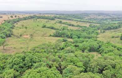 Imagem 14: Fazenda São Bento Bela Vista Goiás 32 Alqueires ou 68.5 alqueires ambos...