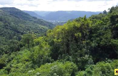 Imagem: A fazenda possui 60.000m² de Área e está localizado em Nova