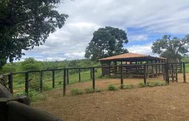 Imagem 3: Fazenda 404 hectares Próximo a Salinas/MG