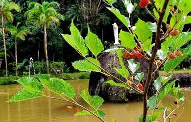 Imagem 13: Recanto lagoa da Mata. Acomodam 6 pessoas, 5 Vagas na garageme3 Dormitórios
