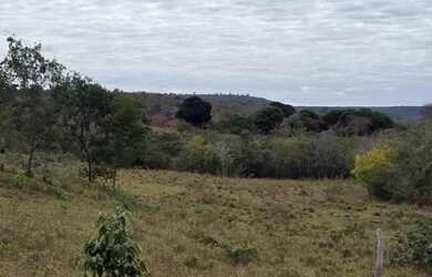 Imagem 12: Fazenda 404 hectares Próximo a Salinas/MG