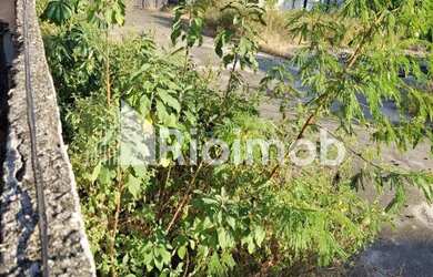 Imagem 15: Taquara Terreno. 4.300m² de Área