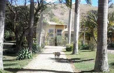 Imagem 6: Fazenda espetacular - Paraíba do Sul-RJ