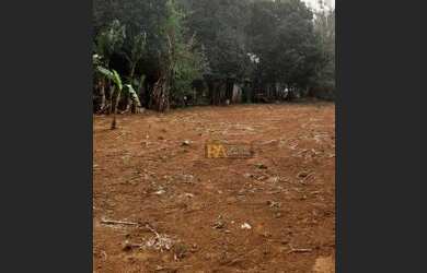 Imagem 11: Terreno à venda, 4146 m² por R$ 954.000,00 - Jardim das Flores - Foz do Iguaçu/PR