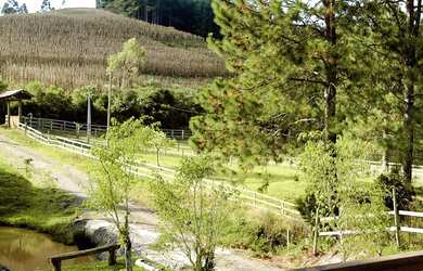 Imagem: A fazenda à venda possui e está localizado em Angelina, SC