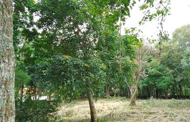 Imagem: O terreno possui 2.000m² de Área e está localizado em Jardim