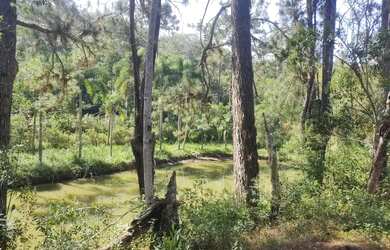 Imagem 3: 4 hectares lagoa casarão 3 km do centro