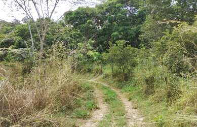 Imagem 4: Chácara em Aragoiania. 