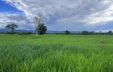 Imagem: A fazenda possui 1.355.000m² de Área e está localizado em