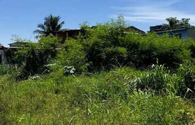 Imagem 7: Venda - Terreno - Brisa - Praia - Guaratiba- 360m2 - Rio de Janeiro -...