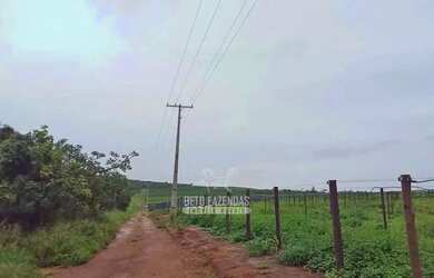 Imagem 12: Imóvel para venda possui metros quadrados em Zona Rural - Lassance -...