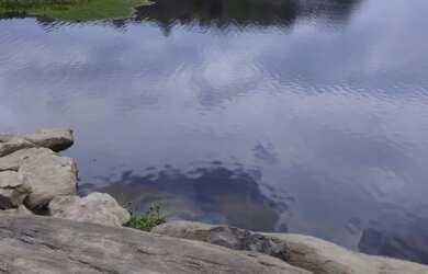 Imagem 12: Casa Grande com terreno e árvores frutíferas