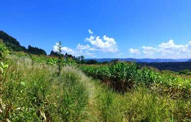 Imagem 5: Sítio / Chácara para Venda em Nova Petrópolis, Stille Eck